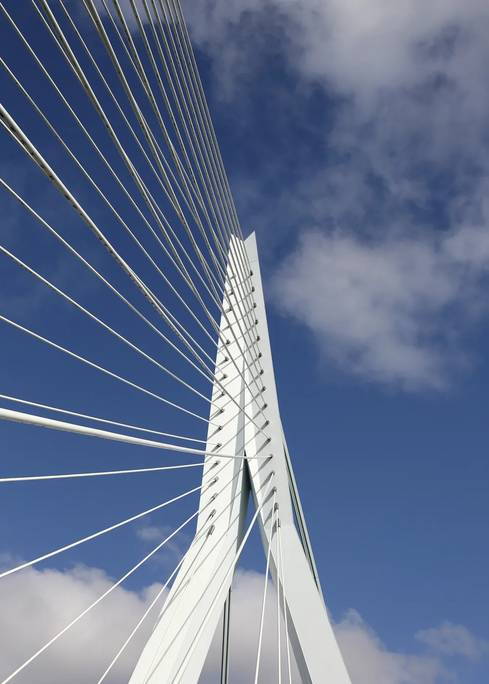 De pyloon van de Erasmusbrug over de Nieuwe Maas in Rotterdam